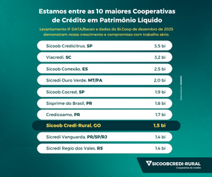Estamos entre as 10 maiores Cooperativas de Crédito em Patrimônio Líquido