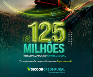 125.000.000,00 de reais integralizados no capital social