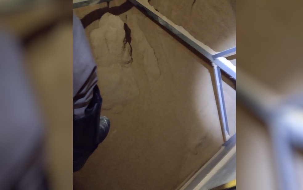 Jovem morre soterrado por farelo de soja enquanto trabalhava