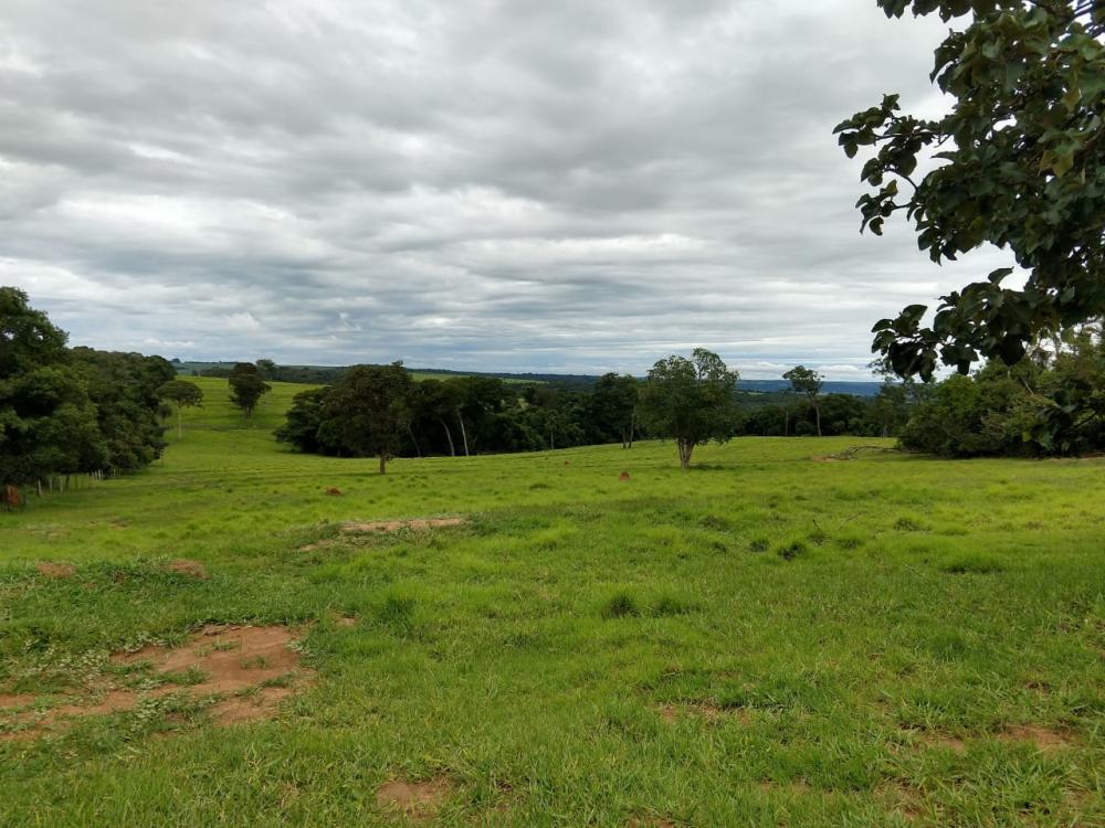 Quirinópolis obtém porcentagem máxima no ICMS Ecológico