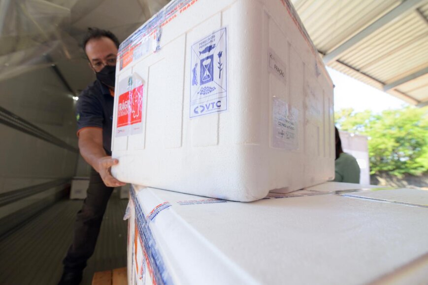 Mais 126.820 doses de vacina chegam a Goiás