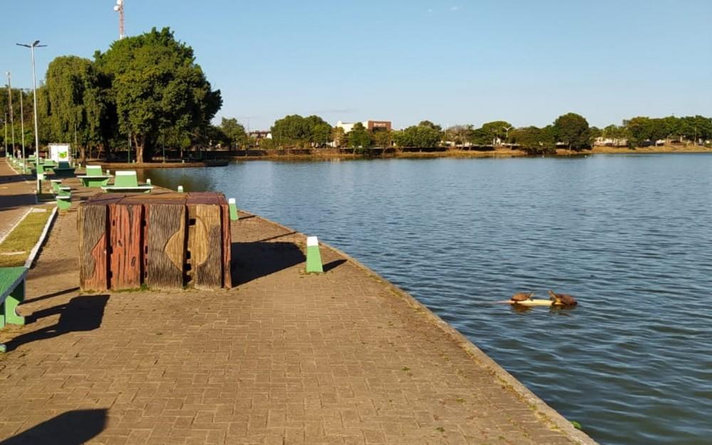 Bebê de 1 ano e 8 meses é atacado por jacaré em lagoa de Porangatu