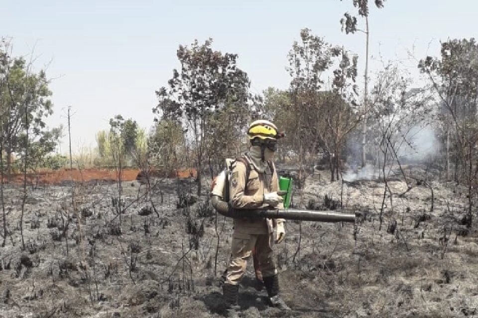 Família foge de incêndio e fica ilhada na mata, em Goiatuba (Foto: Divulgação - CBMGO)