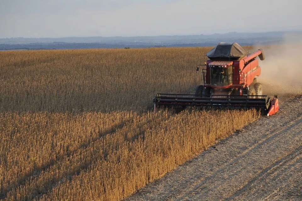 Agropecuária de Goiás pode chegar a R$ 93,6 bi em 2021 no Valor Bruto da Produção