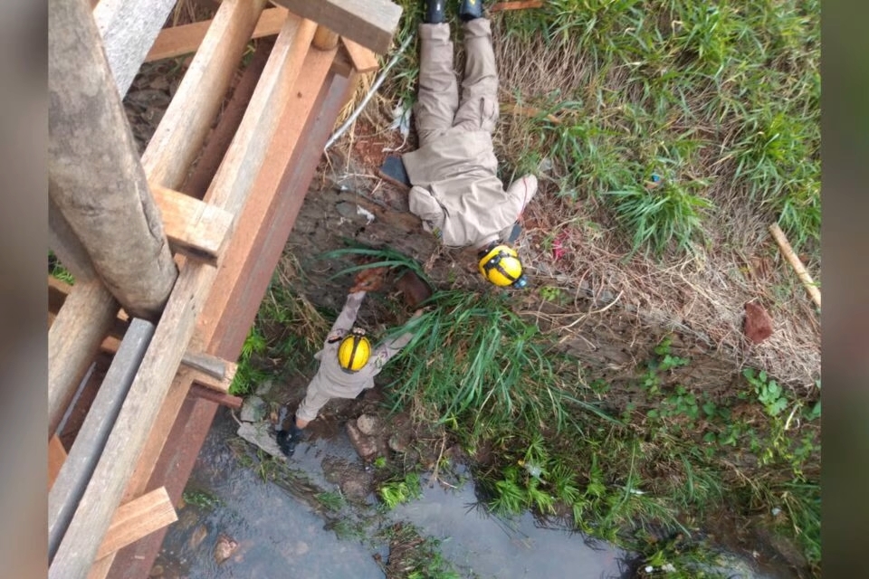 Bombeiros resgatam cachorro que estava dentro do canal no Córrego Botafogo, em Goiânia