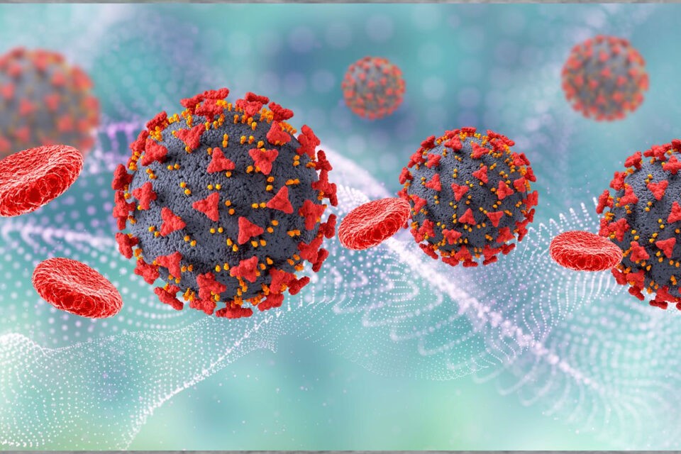 Brasileiro com passagem pela África do Sul, foco da ômicron, testou positivo para Covid