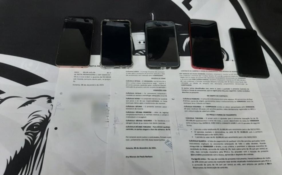 Dois homens são presos por negociações fraudulentas de gado bovino em Goiás