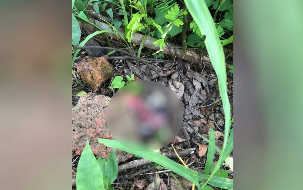 Feto com placenta é encontrado em lote baldio, em Goiânia