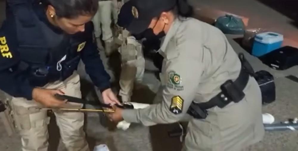 Passageiro de ônibus é preso transportando aves em caixas e espingarda em cano de PVC