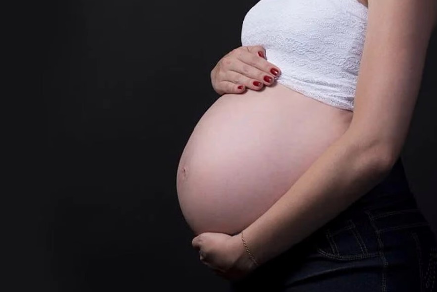 Saúde confirma dois casos de zika vírus em grávidas, em Goiás