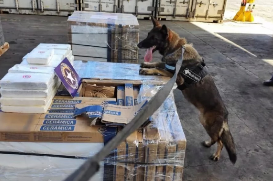 Quase 300kg de cocaína são achados em carga de cerâmica de exportação em PE