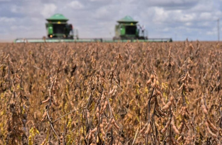 Caiado sugere, mas setor rural é contra contribuição sobre produção agropecuária em Goiás