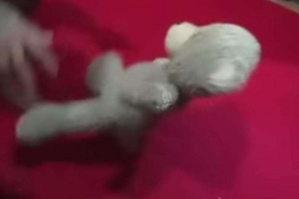 Rio Verde: mãe de criança morta por padrasto é suspeita de permitir agressões