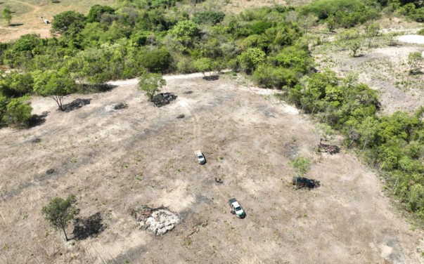 Operação Mata Atlântica aplica cerca de R$ 400 mil em multas por desmatamento em cinco municípios goianos