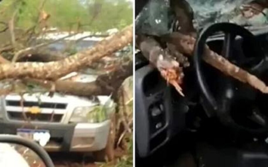 Homem morre após árvore cair em caminhonete em Jaraguá