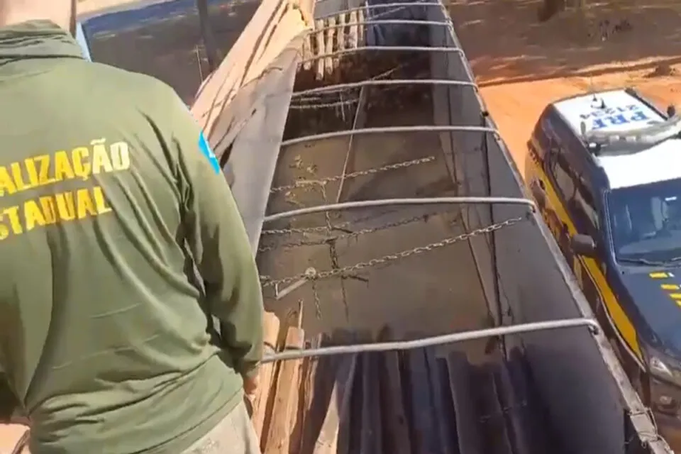 GO: Polícia apreende carga irregular com 20 toneladas de madeira usada para fazer móveis