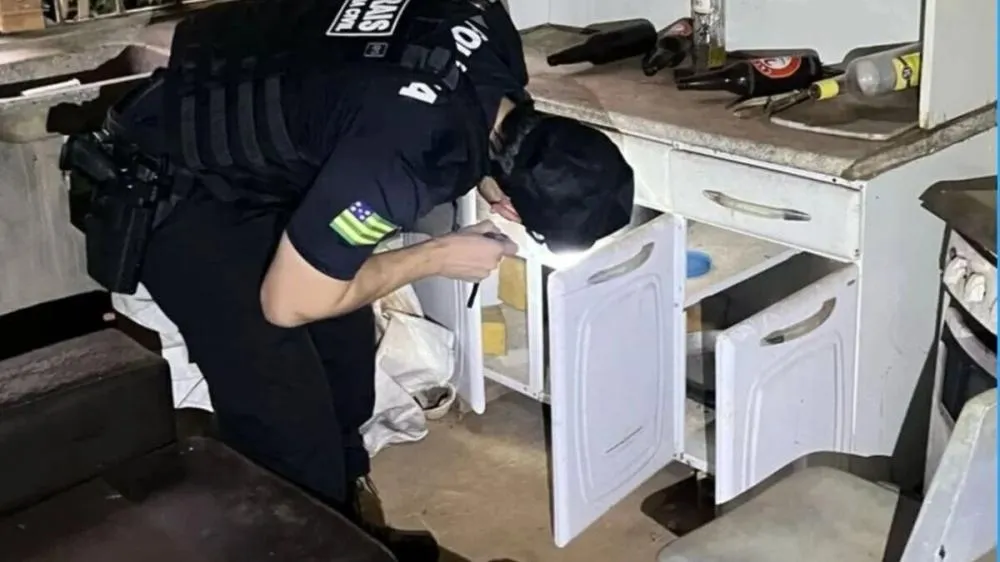 Operação em Goiás mira grupo suspeito de furtar 16 de novilhas avaliadas em R$ 48 mil