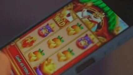 GRUPO DO “TIGRINHO” É SUSPEITO DE MOVIMENTAR R$ 11 MILHÕES EM FRAUDES ONLINE; MANDADO É CUMPRIDO EM GOIÁS