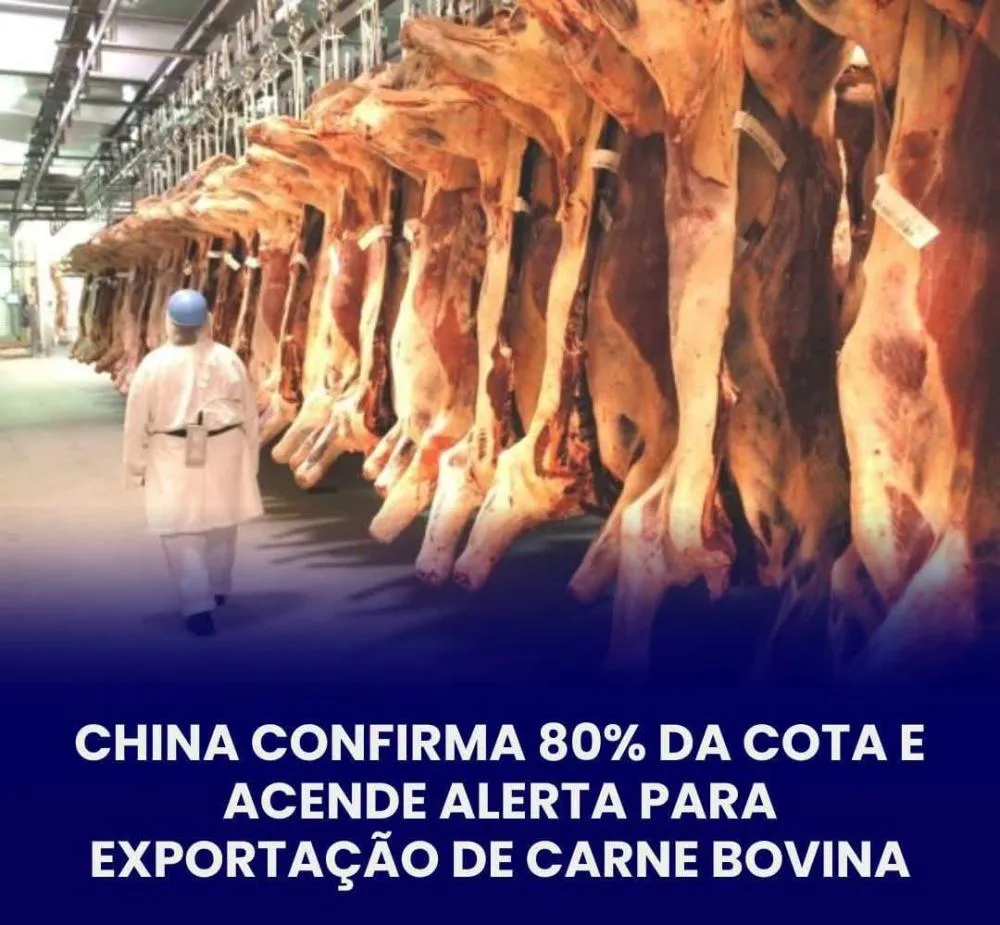 CHINA ATINGE 80% DA COTA DE CARNE BOVINA BRASILEIRA E FRIGORÍFICOS REDUZEM ABATES