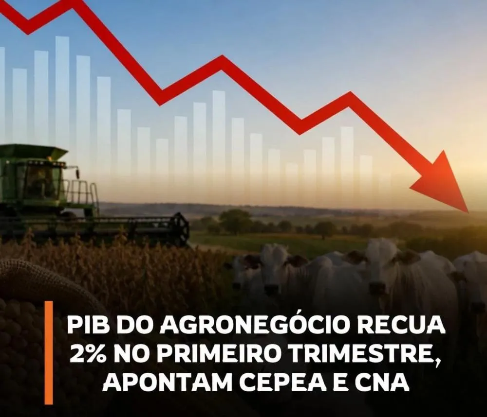 PIB DO AGRONEGÓCIO BRASILEIRO CAI 2% NO PRIMEIRO TRIMESTRE DE 2026