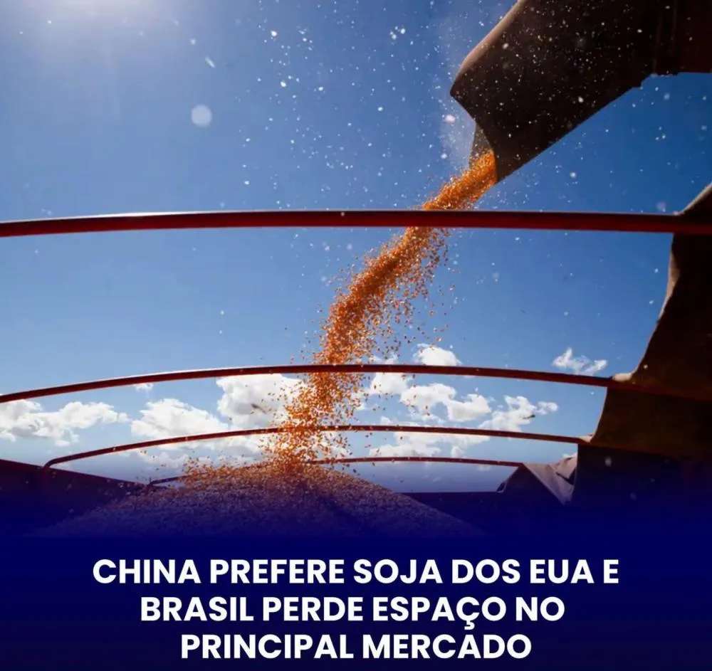CHINA PRIORIZA SOJA DOS EUA E REDUZ COMPRAS DO PRODUTO BRASILEIRO