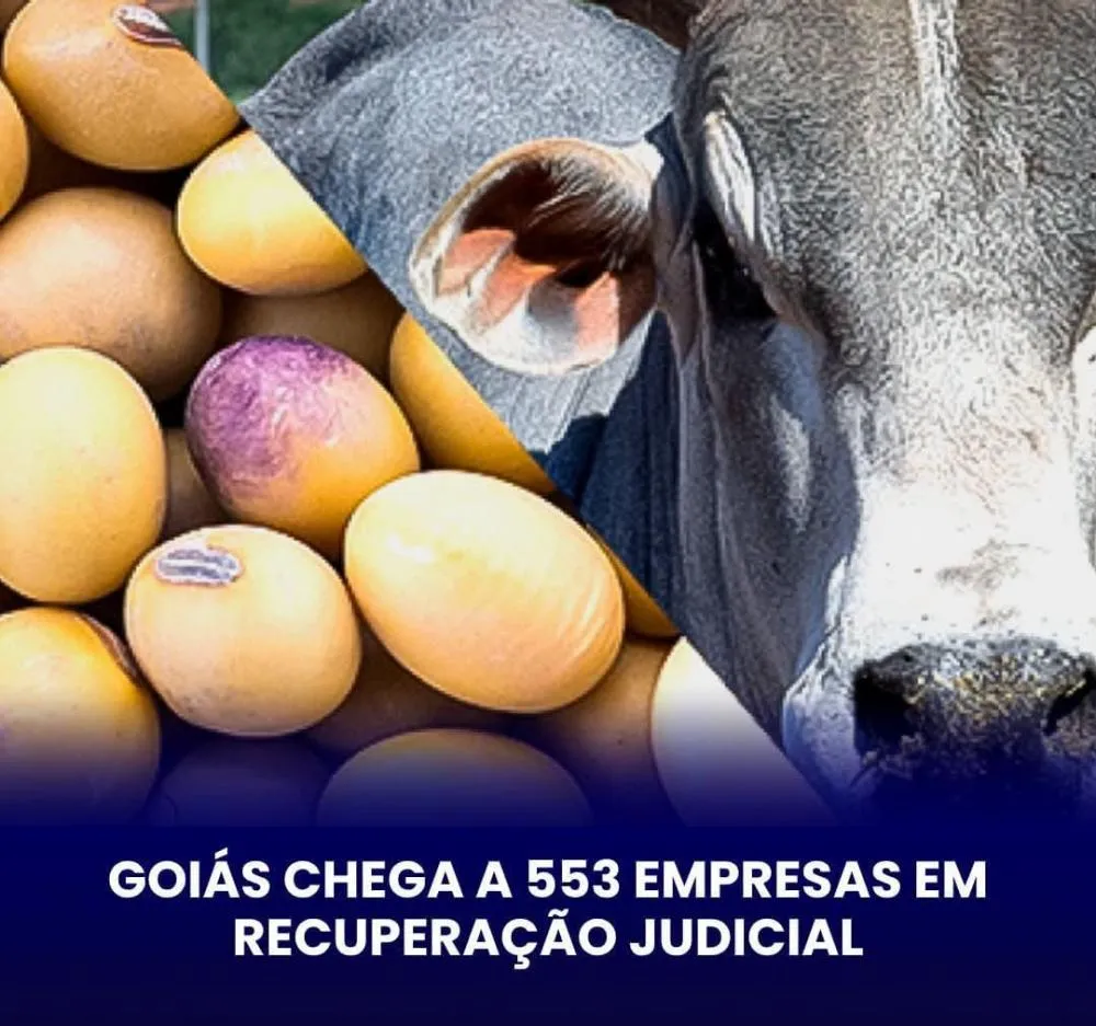 GOIÁS TEM 553 EMPRESAS EM RECUPERAÇÃO JUDICIAL, MAIOR NÚMERO EM DOIS ANOS