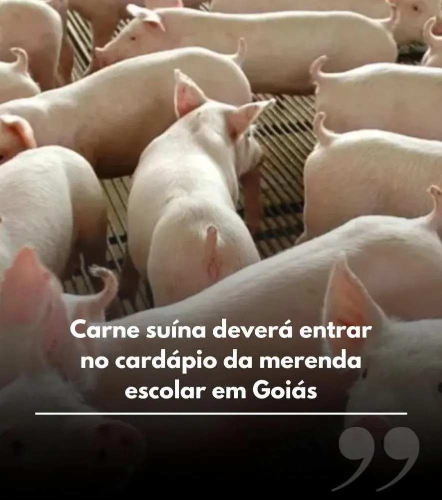 ALEGO APROVA INCLUSÃO OBRIGATÓRIA DE CARNE SUÍNA NO CARDÁPIO DAS ESCOLAS ESTADUAIS