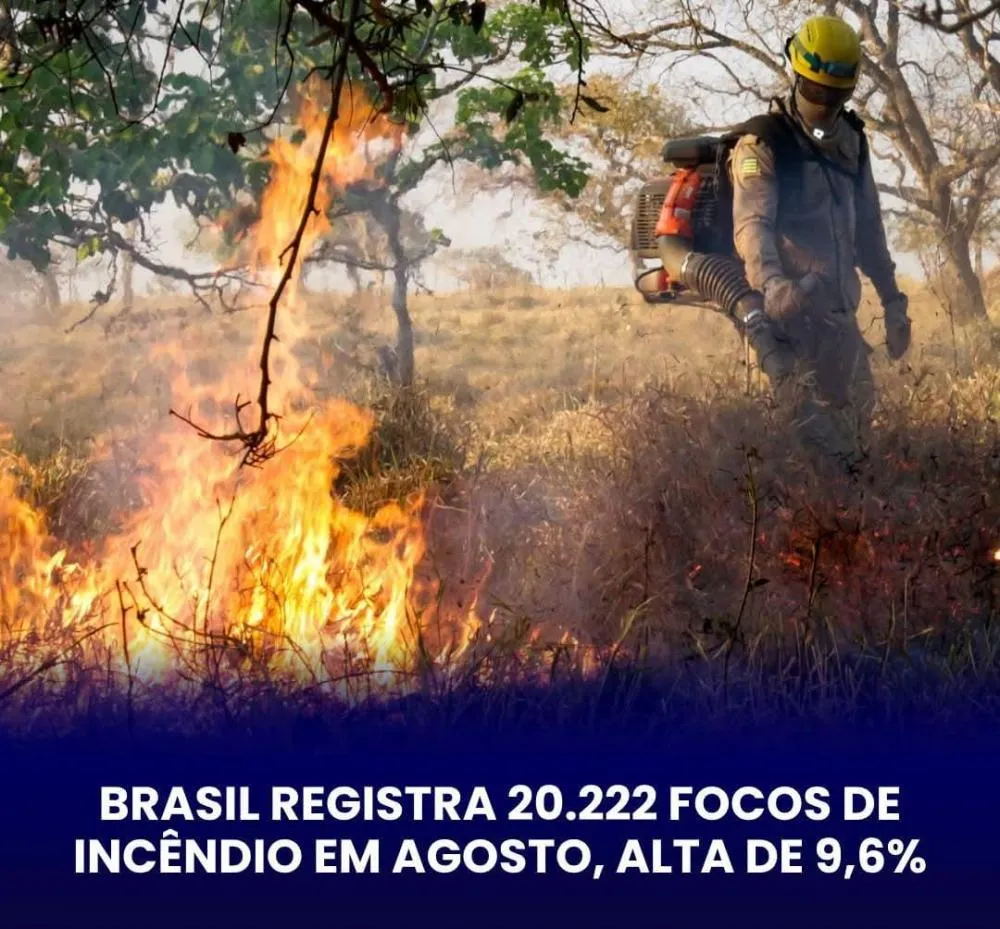BRASIL REGISTRA ALTA DE 9,6% NOS FOCOS DE INCÊNDIO EM AGOSTO