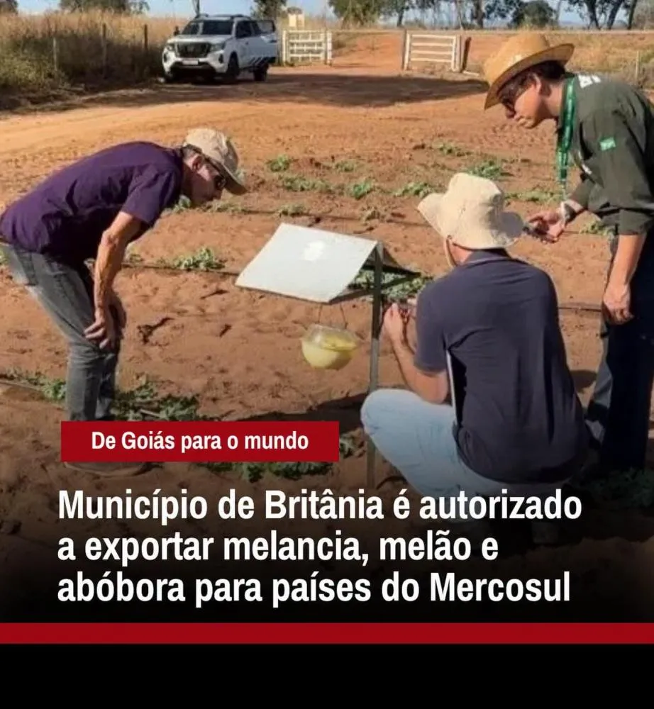 Britânia é autorizada pelo Mapa a exportar melancia, melão e abóbora para o Mercosul