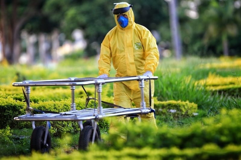 Covid-19: Brasil tem 14,3 milhões de casos e 389,4 mil mortes