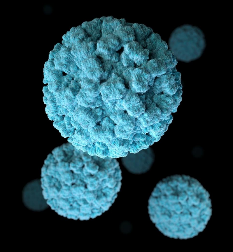 Saiba diferenciar os sintomas de gripe e resfriado com os da Covid