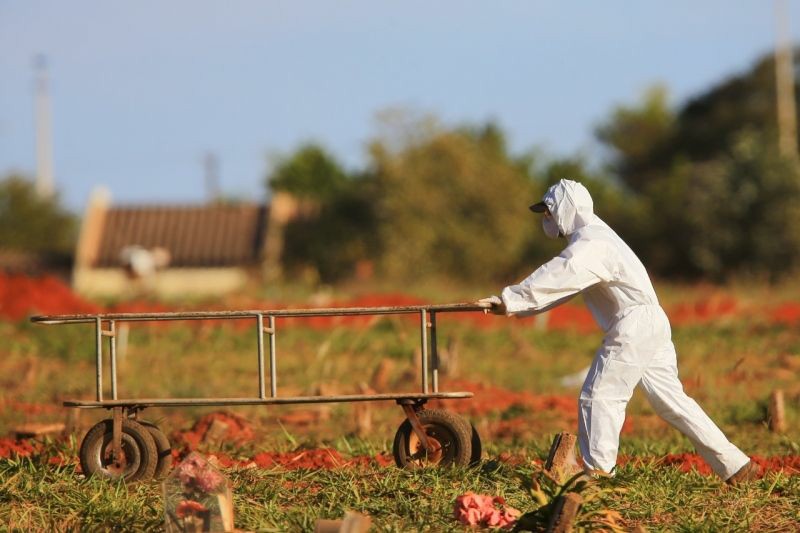 Covid-19: Brasil registra 14,5 milhões de casos e 398 mil óbitos