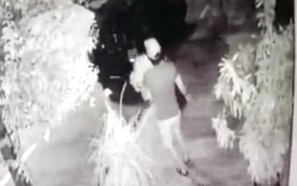 Jovem é detido suspeito de furtar 60 vasos de plantas para decorar casa