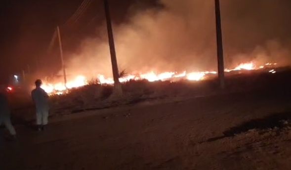 INCÊNDIO EM VEGETAÇÃO