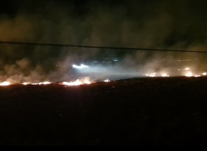 INCÊNDIO EM VEGETAÇÃO