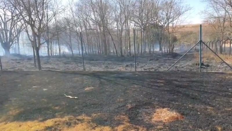 INÍCIO DE FOGO: ✓ APÓS ACIDENTE fogo se alastrar provocando queimada no Parque Turmim Azevedo. Brigada de incêndio agi rapidamente e evita prejuízos piores.